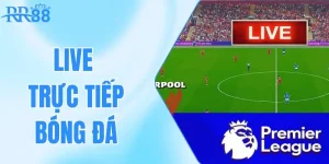 live trực tiếp bóng đá
